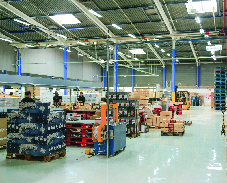 Producción y logística