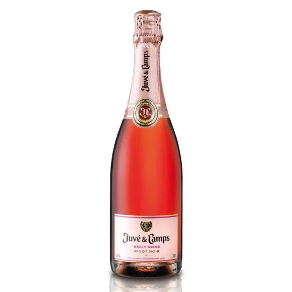 b. Cava JUVÉ & CAMPS Brut Rosé Pinot Noir
