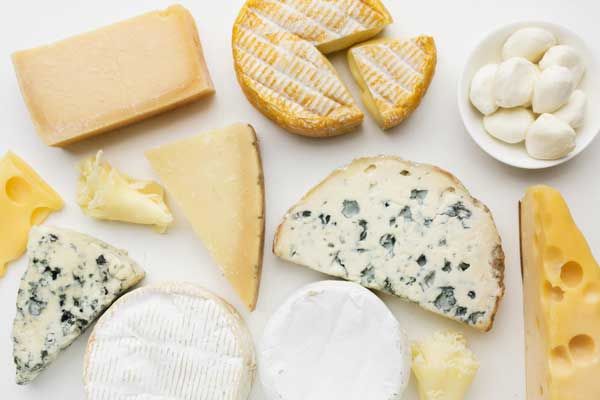 que tipos de quesos existen
